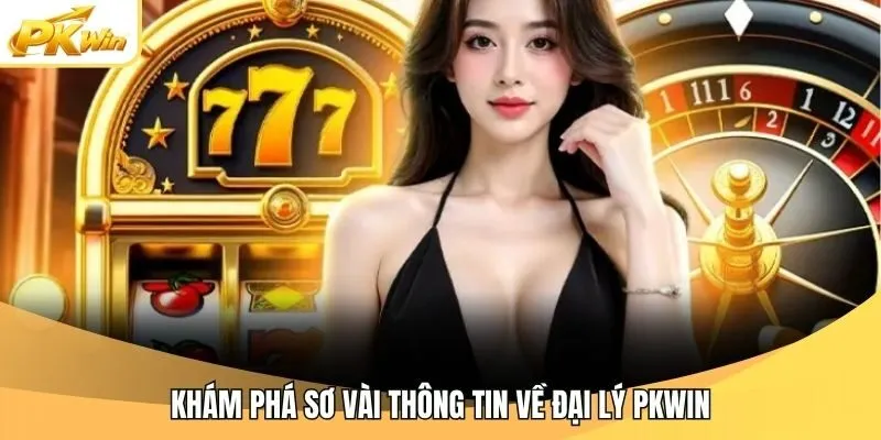Khám phá sơ vài thông tin về đại lý Pkwin