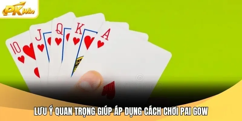 Lưu ý quan trọng giúp áp dụng cách chơi Pai Gow