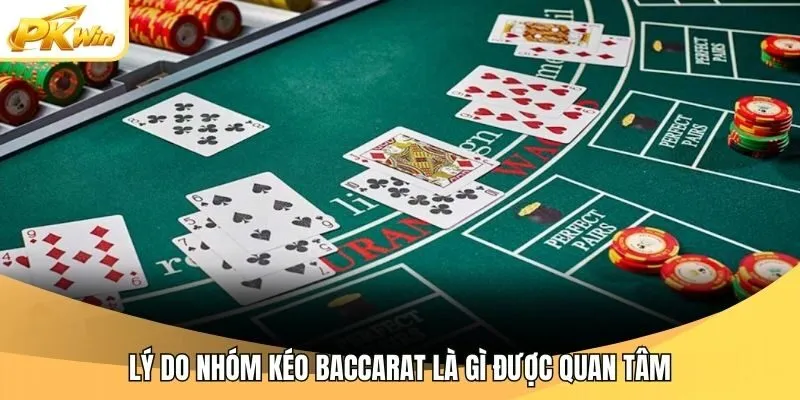 Lý do nhóm kéo Baccarat là gì được quan tâm