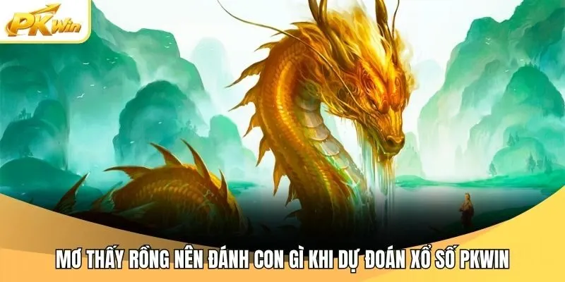 Mơ Thấy Rồng Nên Đánh Con Gì Khi Dự Đoán Xổ Số Pkwin