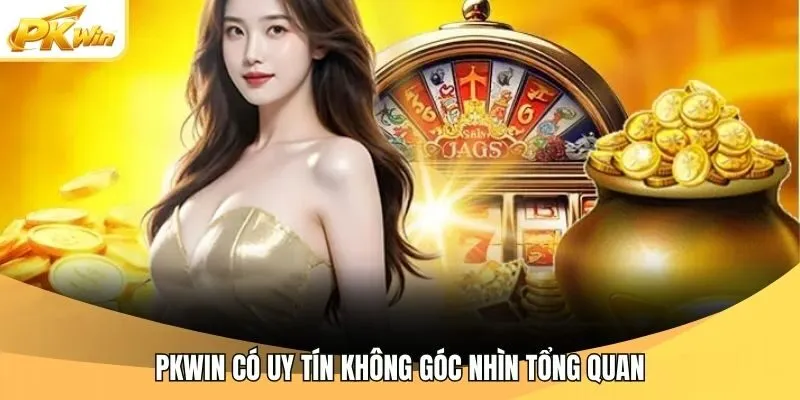 Pkwin có uy tín không góc nhìn tổng quan